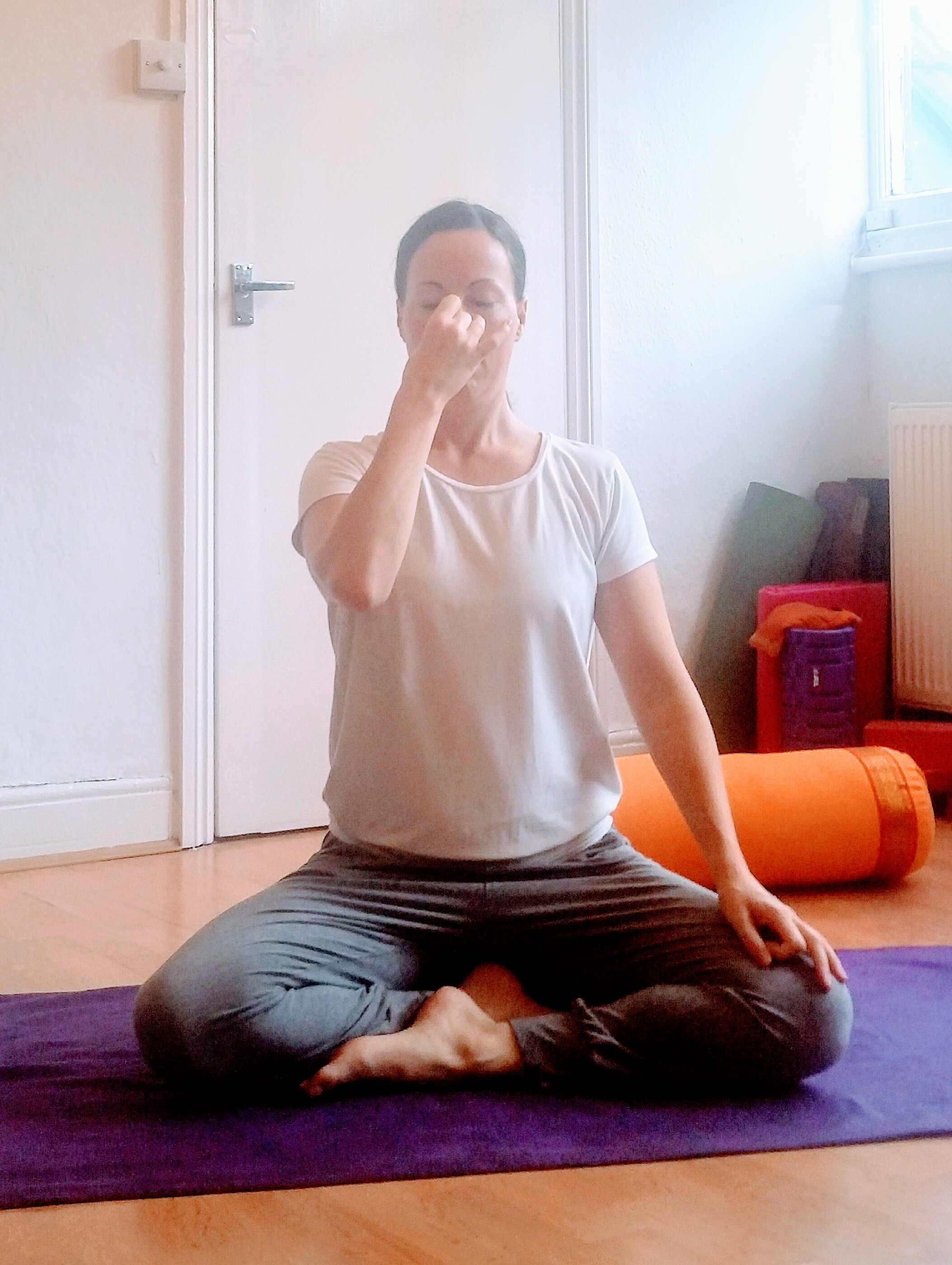 Insomnia Alt nostril breathing